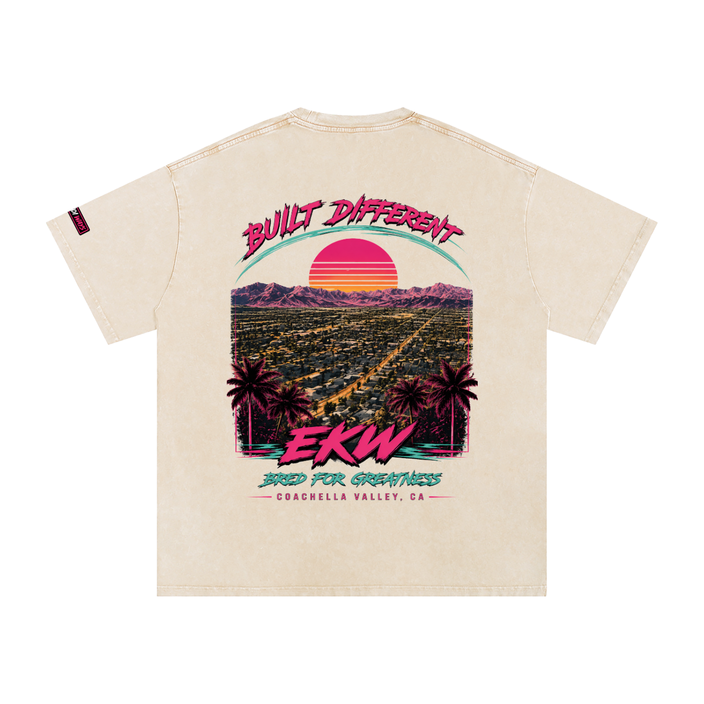 Snow Washed Oversized Cotton EKW X COACHELLA T-Shirt