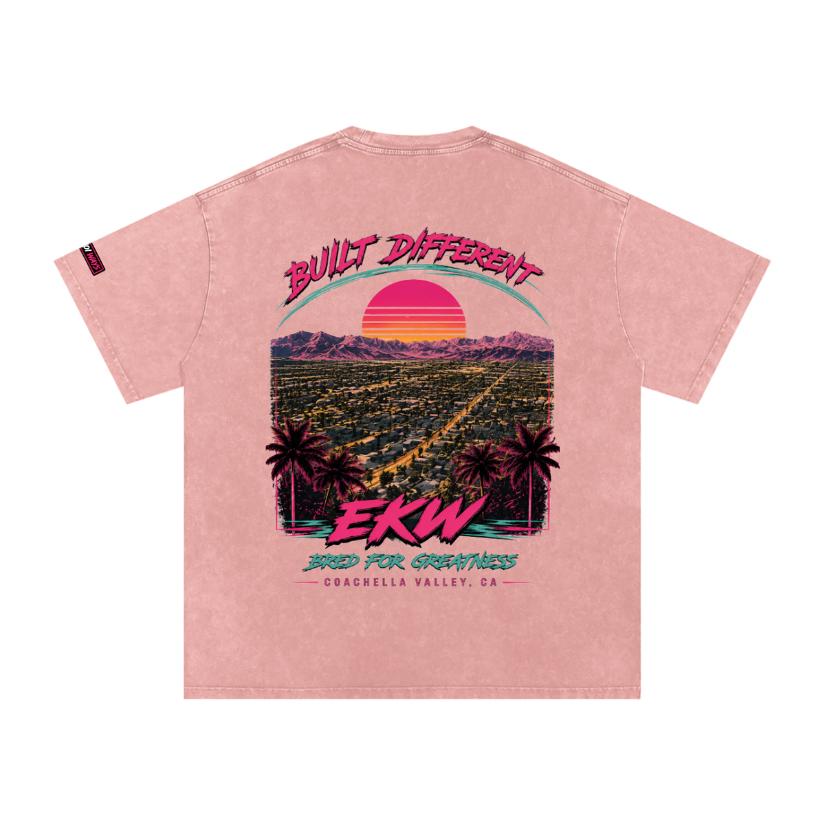 Snow Washed Oversized Cotton EKW X COACHELLA T-Shirt
